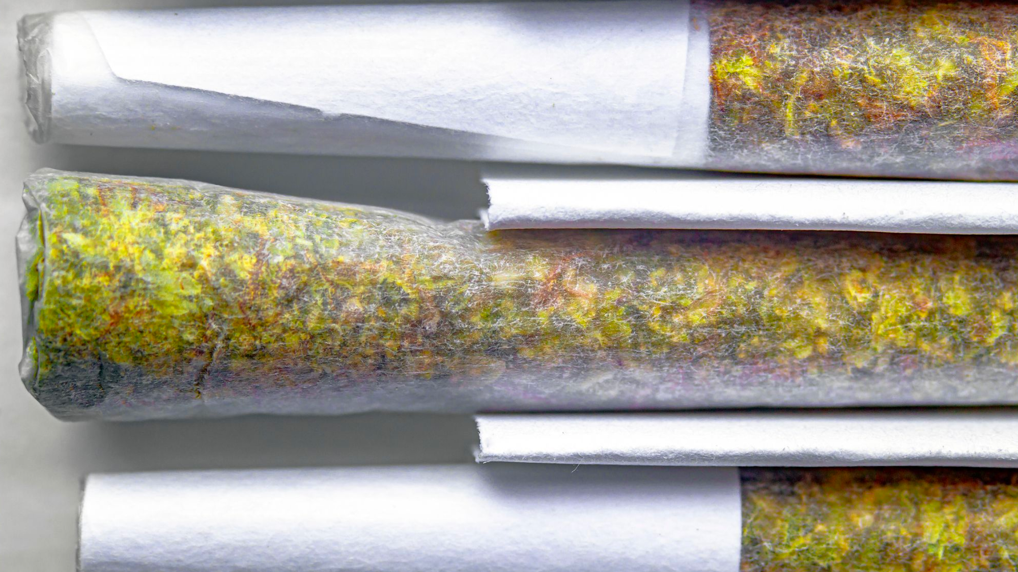 Cannabis producers turning to digital inventory solutions