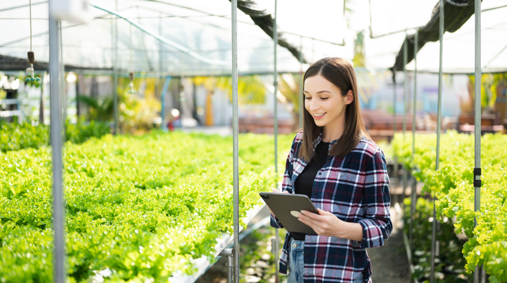 Case Study: Giving Origine Nature immediate visibility into its production inventory