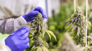 Using granular inventory data for diagnostics and continuous improvement