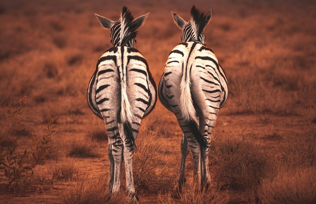 It was the best of intentions, it was the worst of implementations