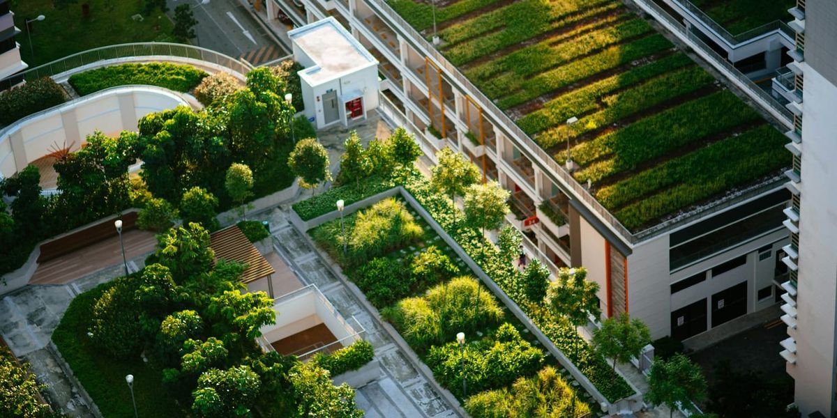 Technical Standards in Service to Humanity