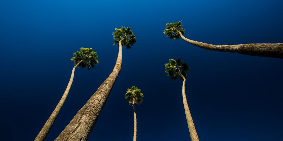 Our 5 Most-Read Articles of 2025