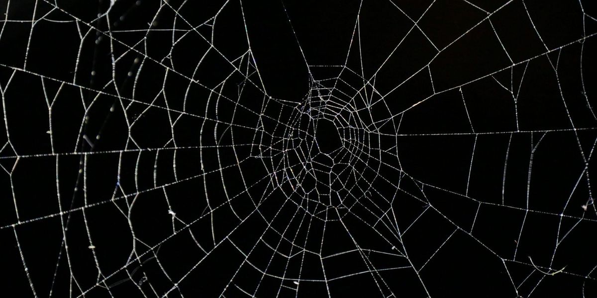 Does Anybody Care About Data Breaches?