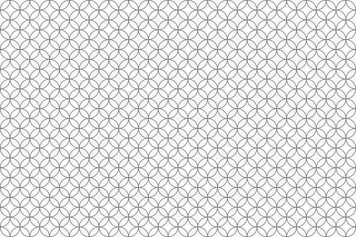 The Social Web Foundation