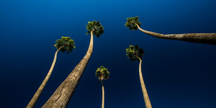 Our 5 Most-Read Articles of 2025