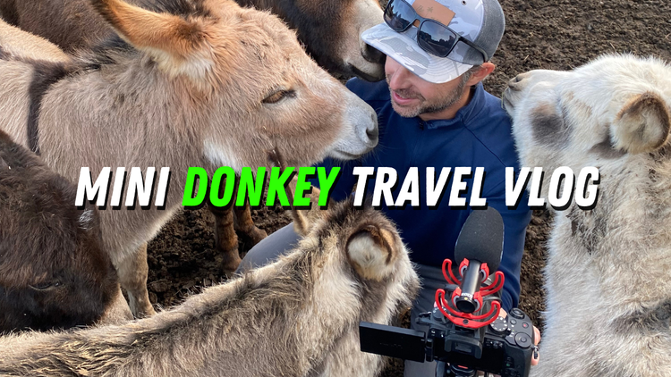 The Sun Came Out & We Headed Out...