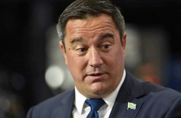 Steenhuisen Out at Agriculture: Hill-Lewis Asks President for Wider Reshuffle in Opening Act as DA Leader