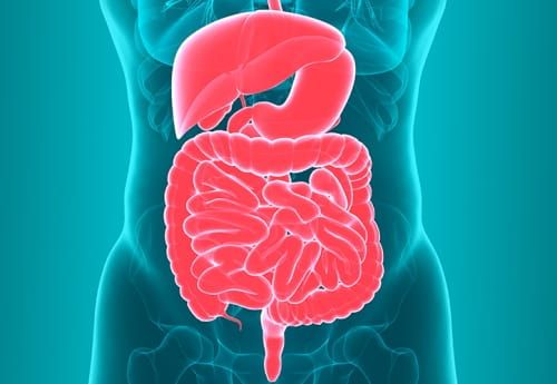 Gut Health Trending & Articles #2
