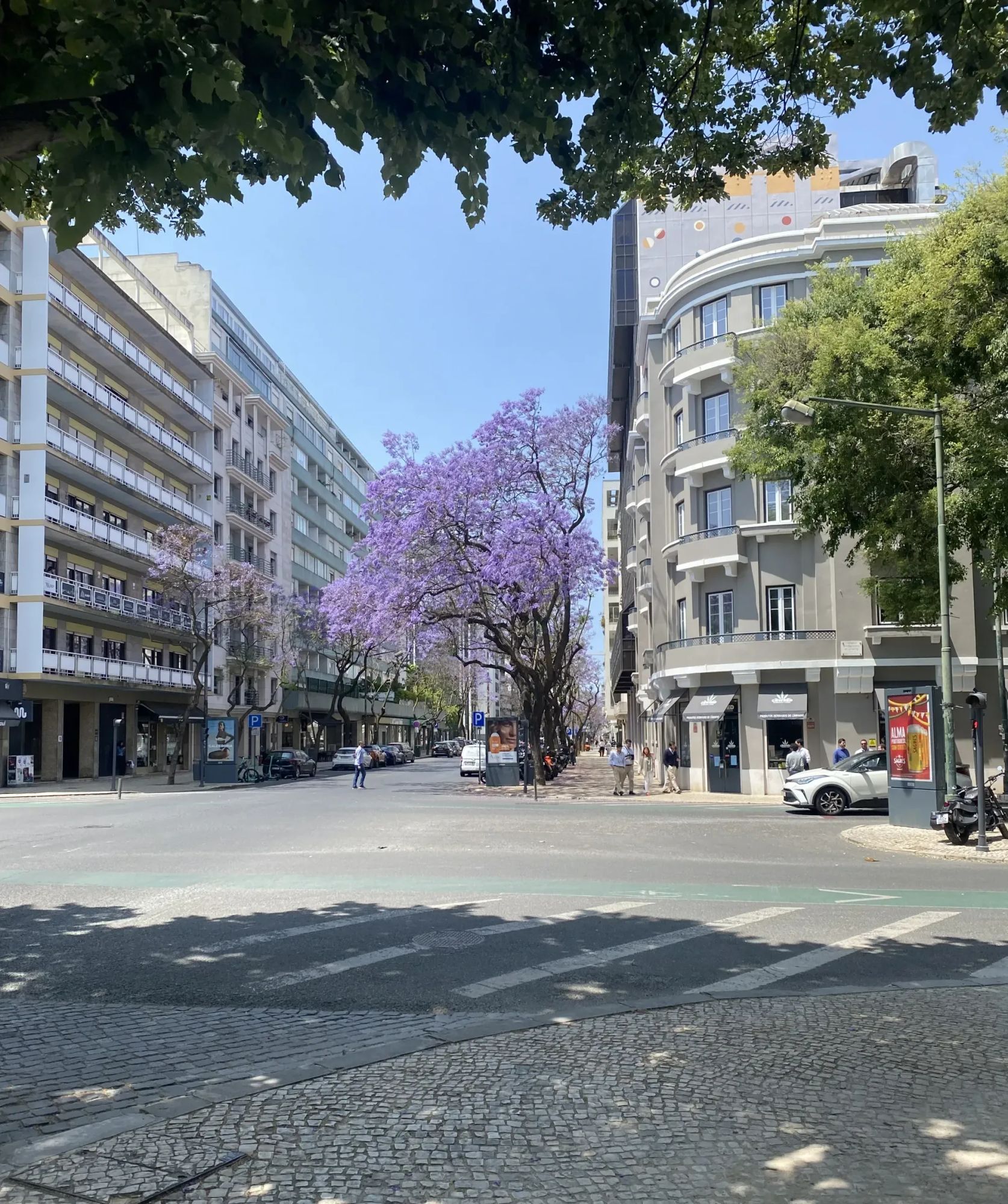 Living in Avenidas Novas: Lisbon's Most Livable Neighborhood
