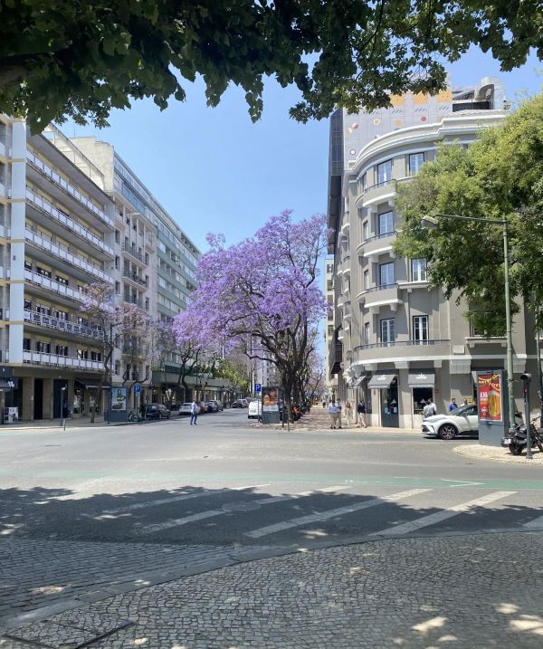 Living in Avenidas Novas: Lisbon's Most Livable Neighborhood