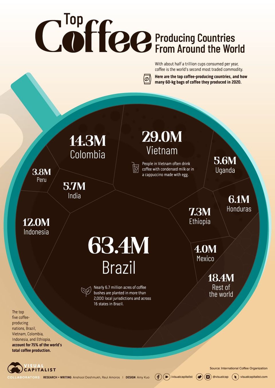 QCI #038 - Top Coffee Producing Countries From Around the World