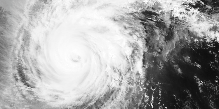 Je leur dirai tes maux, Bleue.