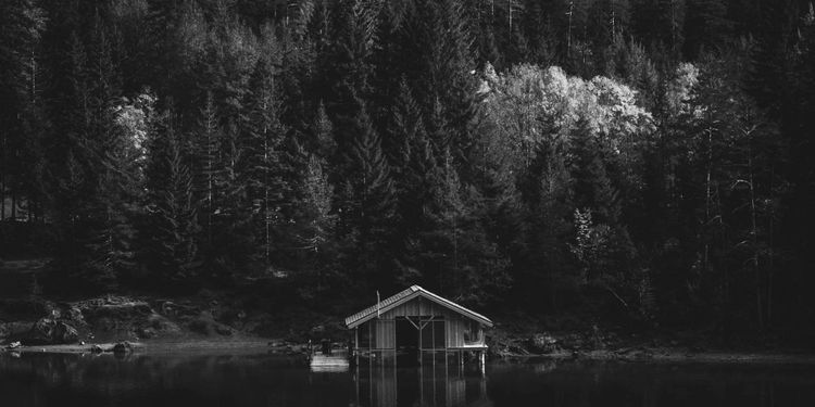 Amour, lac et forêt.