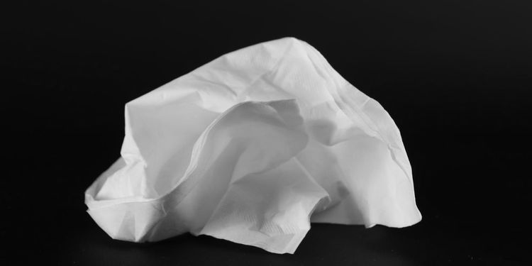 Les petits mouchoirs.