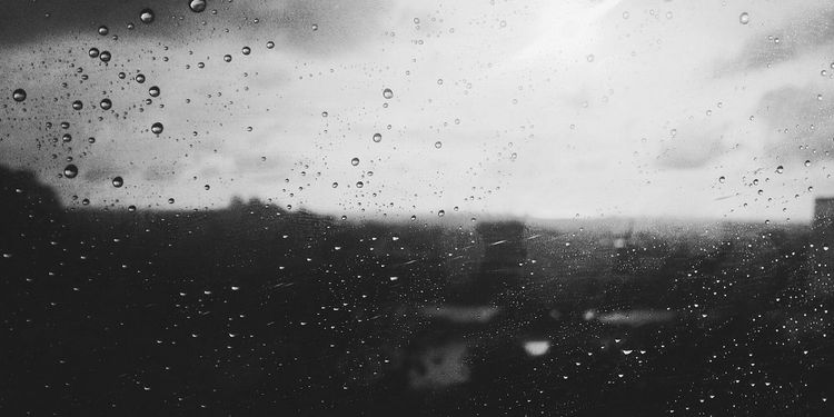 Ces odeurs après la pluie.