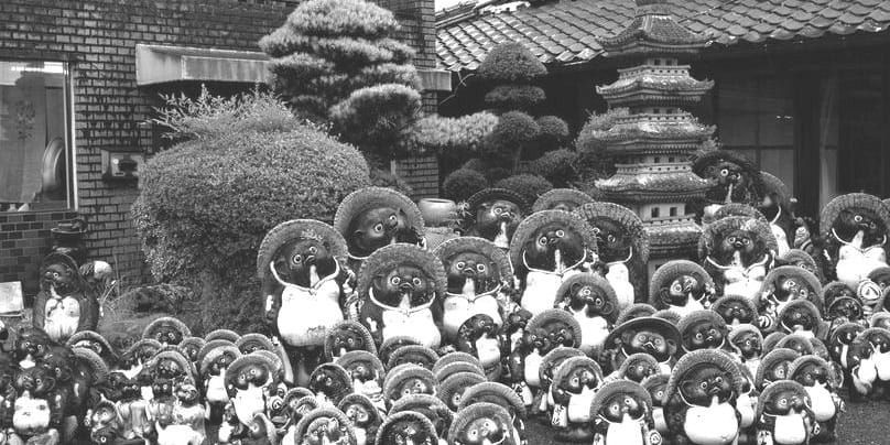 Tanuki et Paulownia attendent Ciaran.