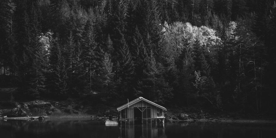 Amour, lac et forêt.