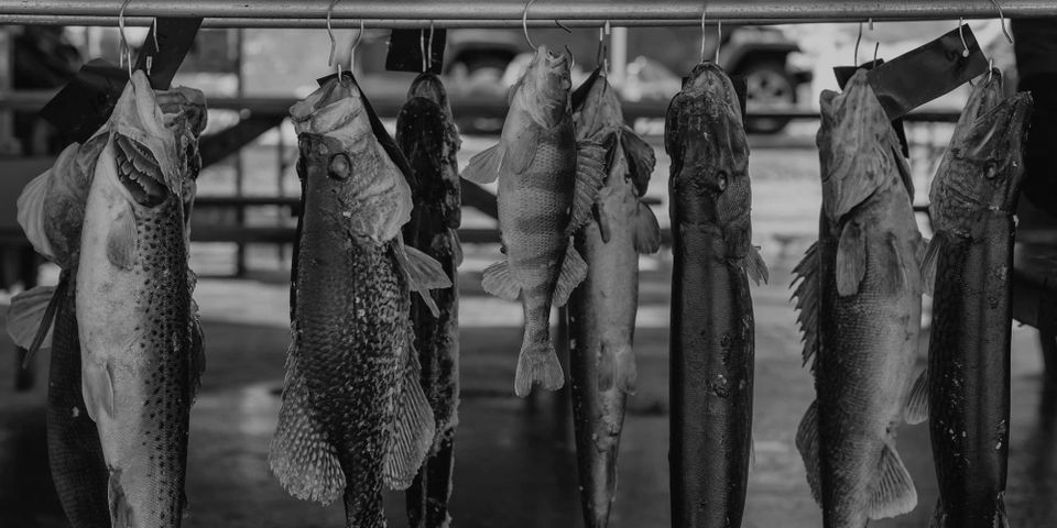 Un dimanche de campagne.