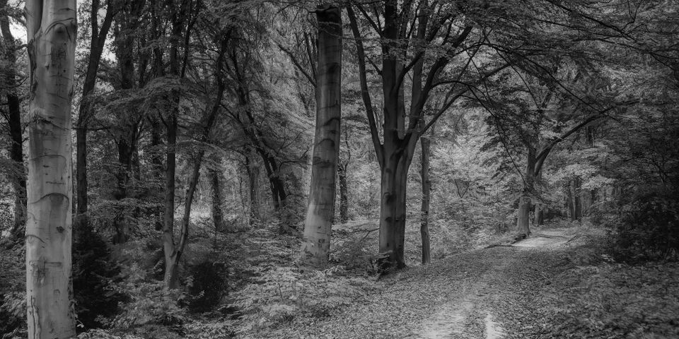 À la faveur de l'automne.