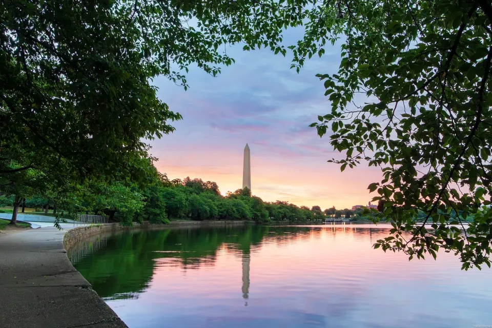 Tidal Basin glowing and reflecting the Washington Monument. 