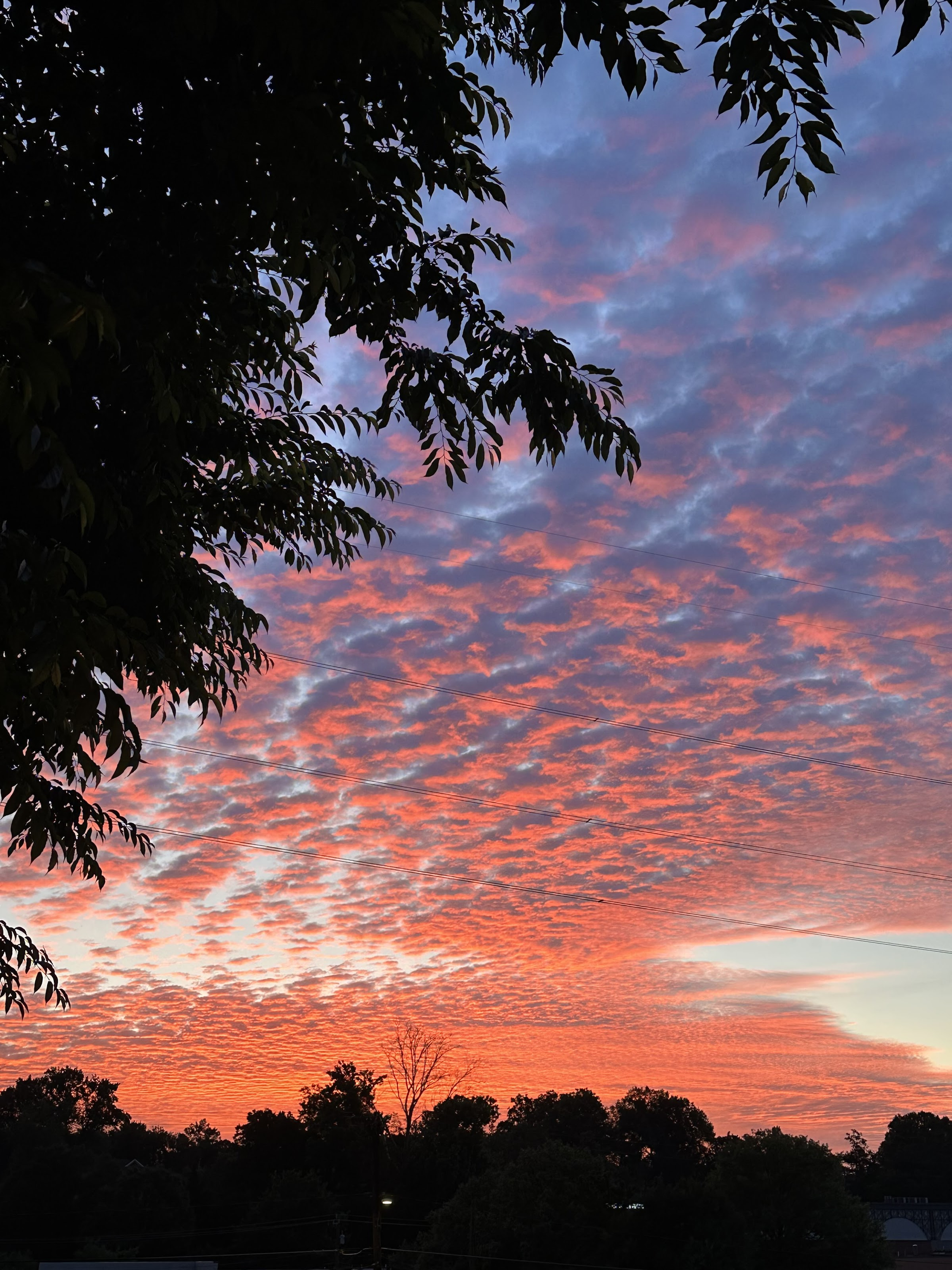 Sunrise Sunday from Vienna, Virginia.