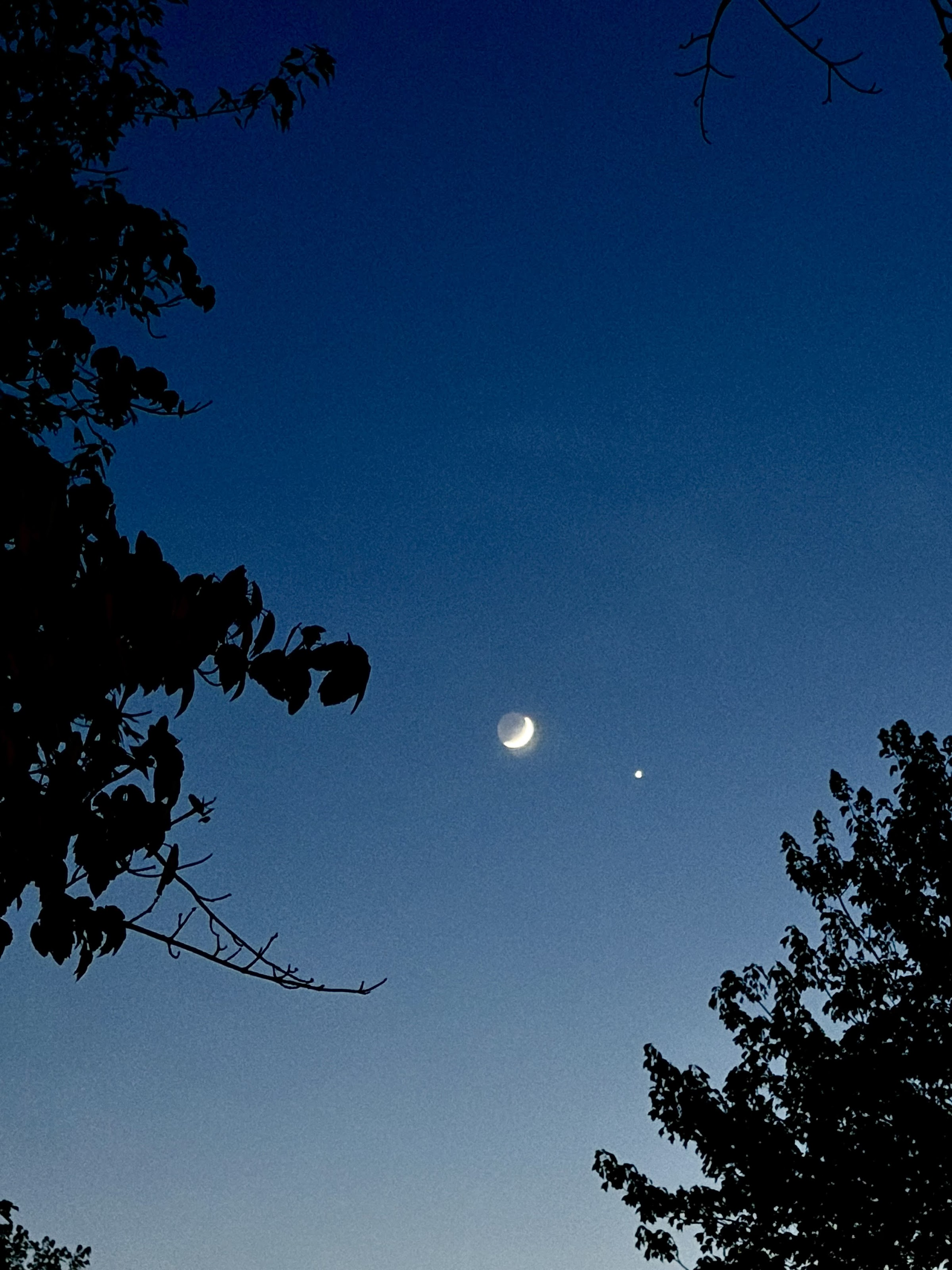 Photo of the moon and Venus Wednesday evening. 
