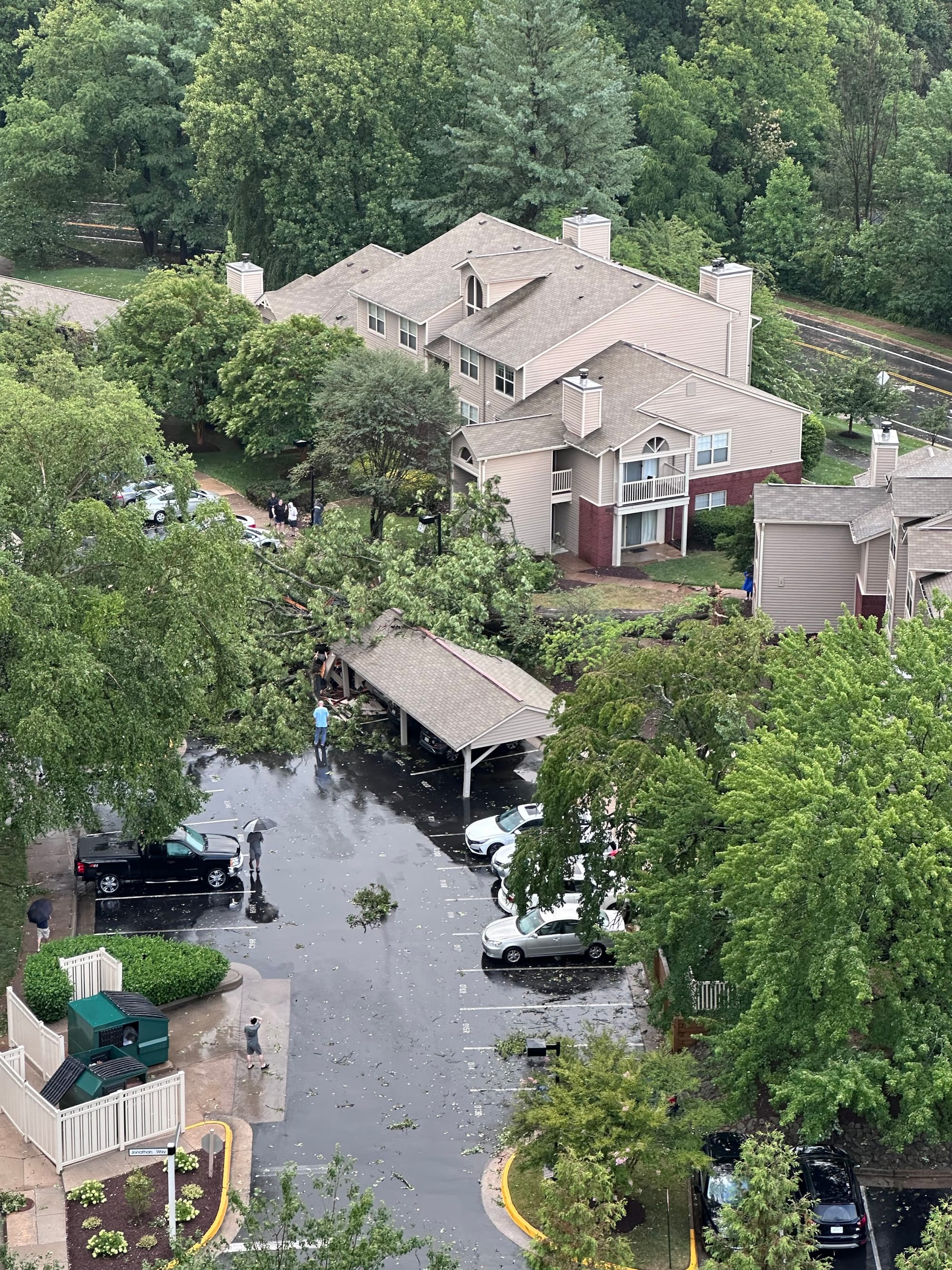 Image of tree damage in Reston from storms Sunday evening.
