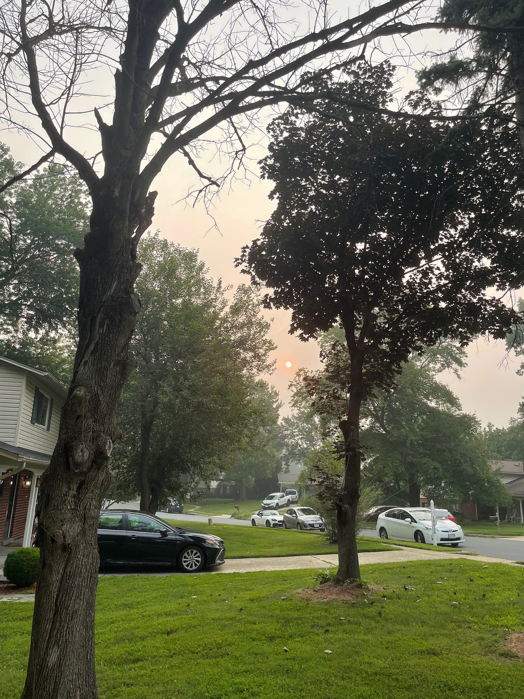 Photo of a smoky sky over Fairfax Friday.