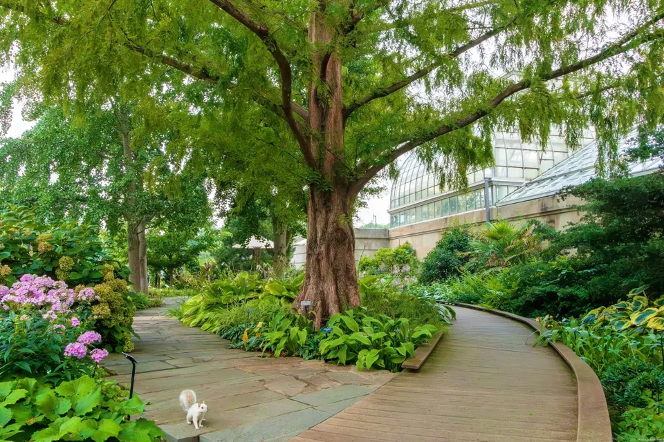 Lush vegetation and a squirrel are seen at the United States Botanic Garden.