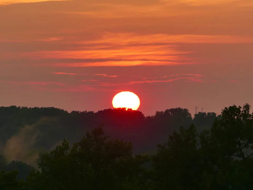 The sun is seen rising over a tree line in middle of photo. It is orange and the sky is tinged that color, too.