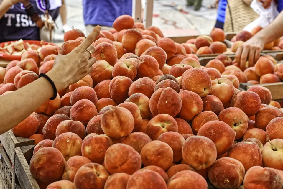 A photo of peaches at the Dupont Circle Farmer's Market on Sunday.