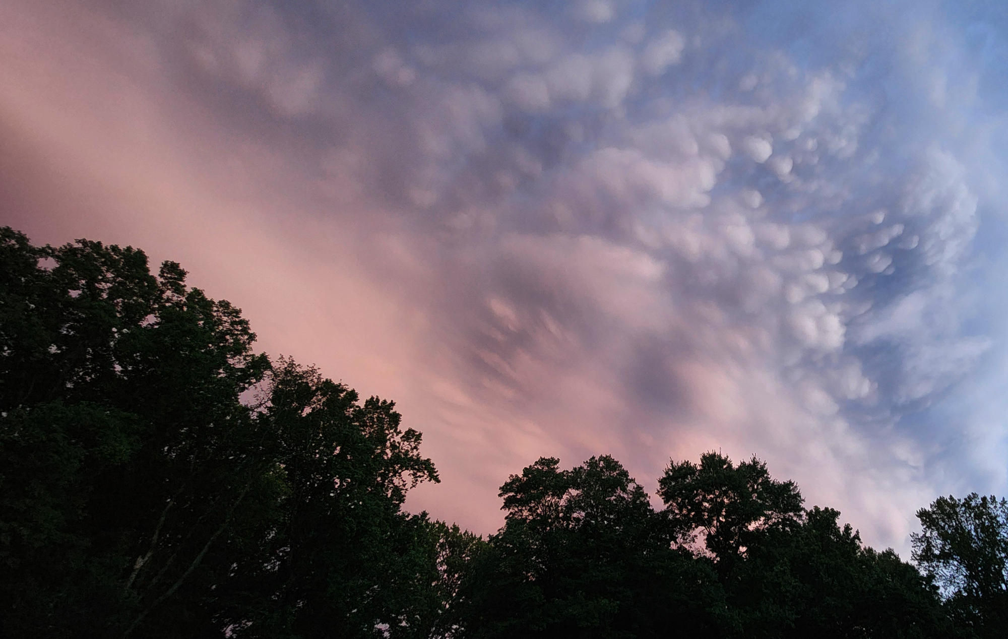 Clouds are pink to gray with mammatus bubbles showing up under the higher cloud base. 