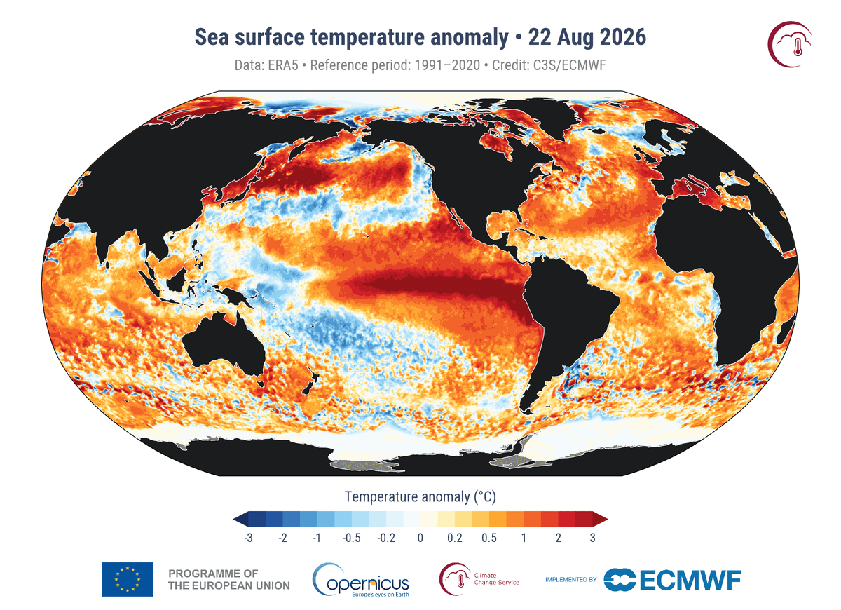 World's ocean temperature hits record high. What it means for the DC area.
