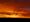 Photo of the sun rising over Rock Creek Park.