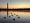 Ducks on the Tidal Basin as the sun prepares to rise over the horizon. They are largely silhouettes, as is the Washington Monument in the background. 