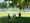 People sit under a tree watching workers at the reflecting pool. 