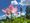 A blooming Lotus with blue skies and a few clouds in background.
