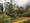 Photo of tree damage from storm in Burke, Virginia, Monday.