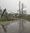 Photo of downed wires and trees in Burke, Virginia after thunderstorm Monday.
