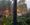 Thursday evening storms unleash 60-plus mph gusts, topple trees