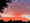 Sunrise on June 14, 2026; Vienna, VA. Hues of orange, red, and blue among and over the tree tops.