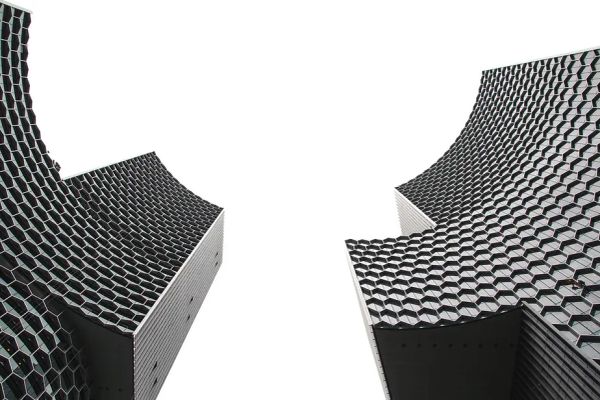 BW pic looking upward to tall curved buildings arcing in a hemisphere with a six-sided window pattern suggests honeycomb.