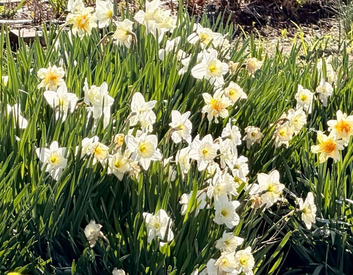 Abundance