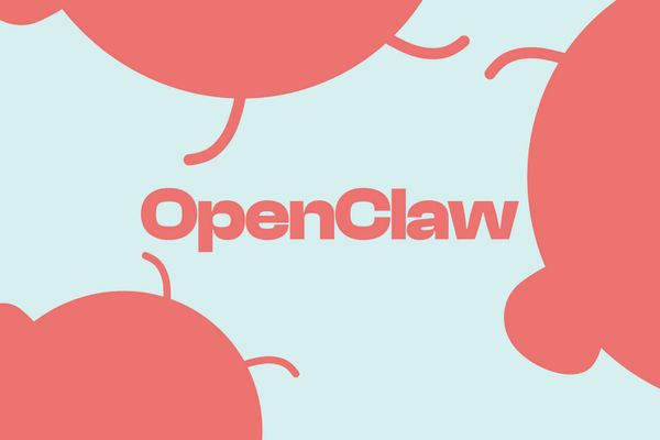 概念股涨停、淘宝代装 900 单——但 OpenClaw 可能是今年最危险的"新玩具"