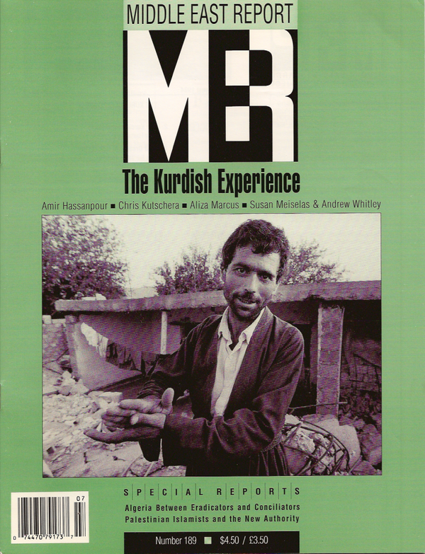 The Kurdish Experience