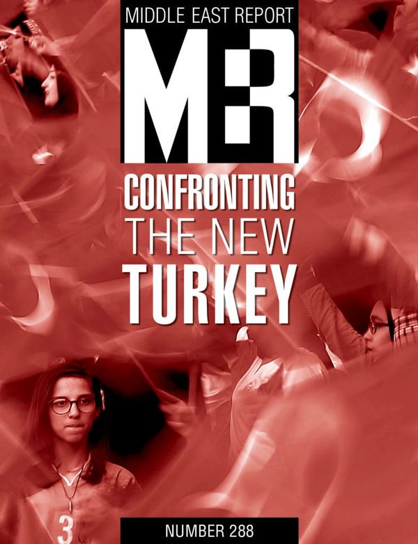 Confronting the New Turkey