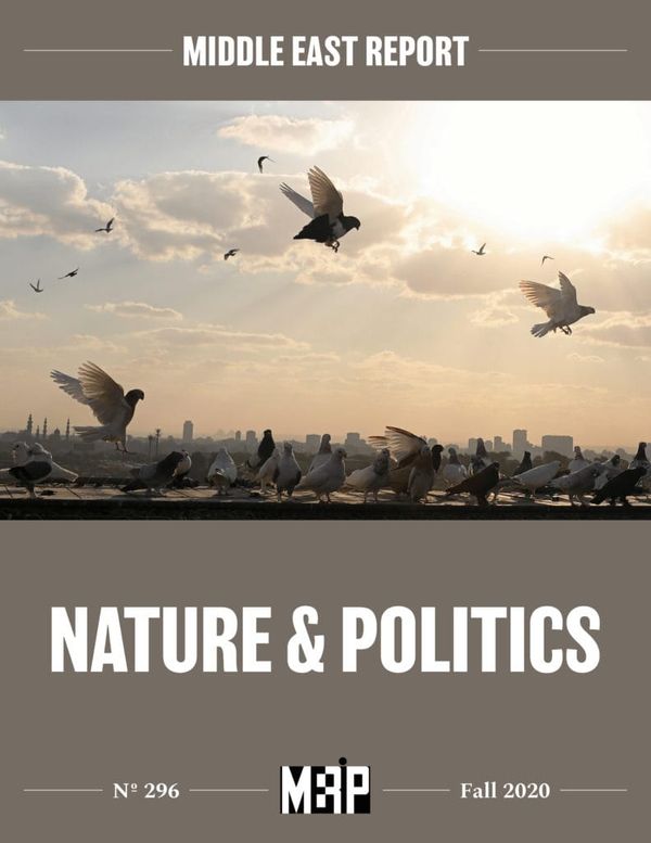 Nature and Politics