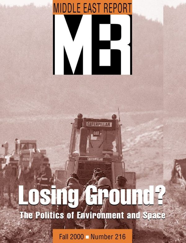 Losing Ground?