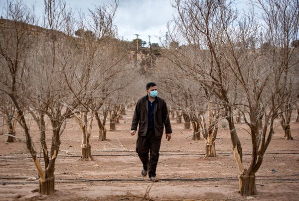 Israeli Agribusiness and Morocco’s Green Frontier