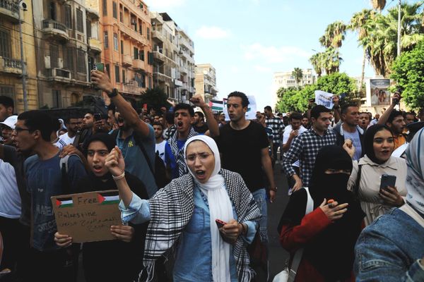 Student Protest and the Politics of Palestine in Egypt